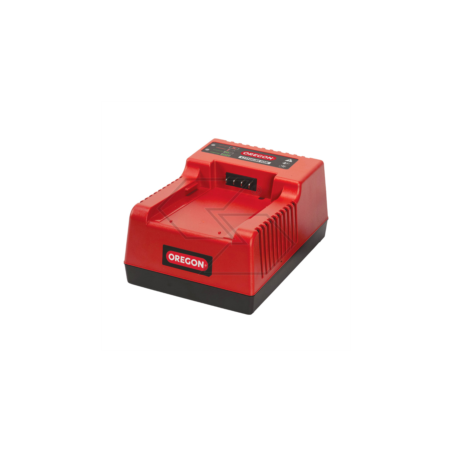 CARICABATTERIA RAPIDO OREGON C750 594079 | NewgardenParts.com