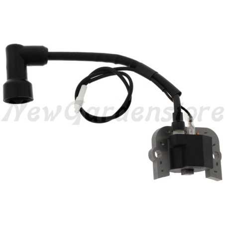 ORIGINAL LONCIN ignition coil 55800394 270920339-0001 | NewgardenParts.com