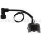 Bobina de encendido ORIGINAL LONCIN 55800394 270920339-0001