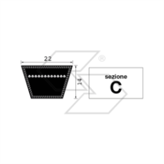 CINGHIA IN GOMMA TIPO C83 1/2 A26345 | NewgardenParts.com