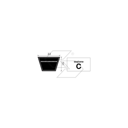 CORREA DE CAUCHO TIPO C83 1/2 A26345 | NewgardenParts.com