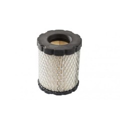 Cartuccia filtro aria motore rasaerba compatibile BRIGGS&STRATTON 798897 | NewgardenParts.com