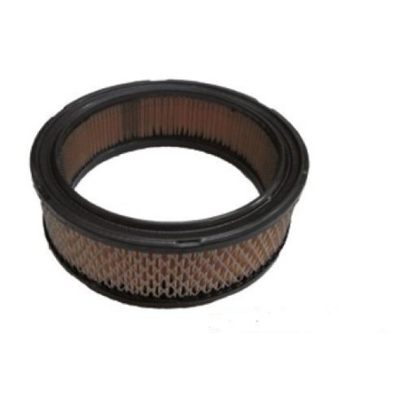 Cartuccia filtro aria rasaerba tagliaerba BRIGGS&STRATTON 100010 | NewgardenParts.com