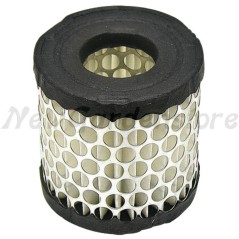 Cartuccia filtro aria trattorino compatibile BRIGGS & STRATTON 392308S | NewgardenParts.com