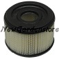 Cartuccia filtro aria trattorino tagliaerba compatibile BRIGGS & STRATTON 390492