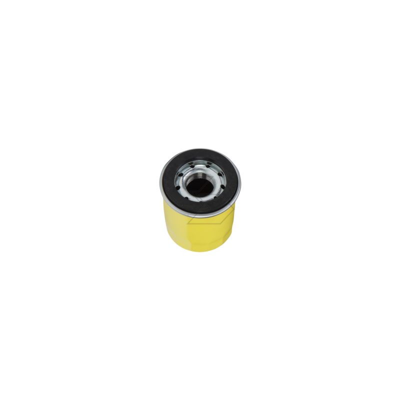 Briggs &amp- Stratton 795990 Genuine Oil Filter
