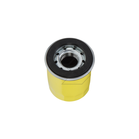 Briggs &amp- Stratton 795990 Original-Ölfilter | NewgardenParts.com