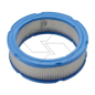 Briggs &amp- Stratton 394018S Original-Luftfilter