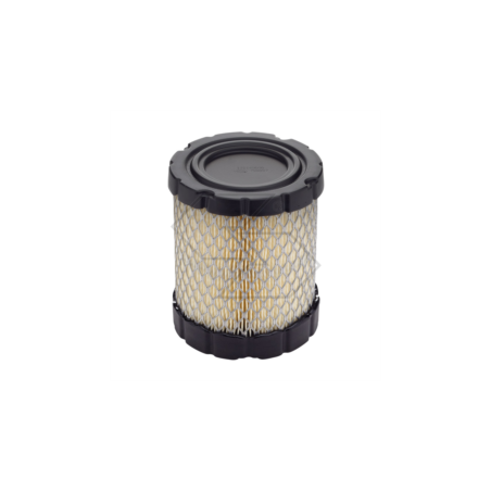 Briggs &amp- Stratton 798897 Original-Luftfilter | NewgardenParts.com