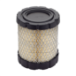 Briggs &amp- Stratton 798897 Original-Luftfilter