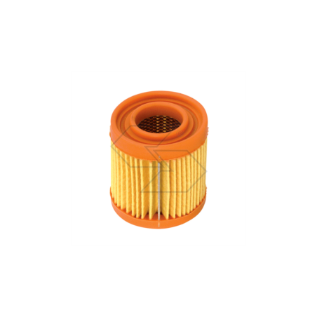 LUFTFILTER TECUMSEH BVL 198 1-T R140219 | NewgardenParts.com