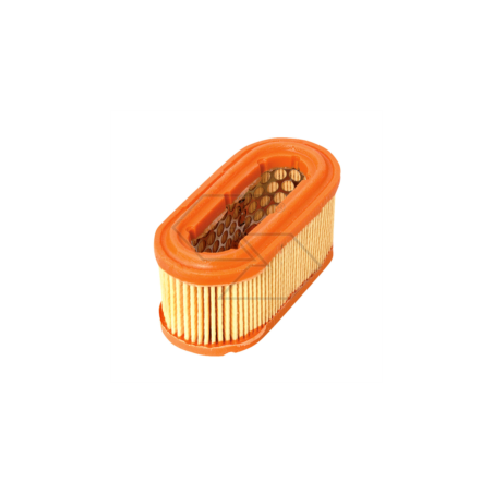 LUFTFILTER TECUMSEH BVL 198 2-T R140218 | NewgardenParts.com