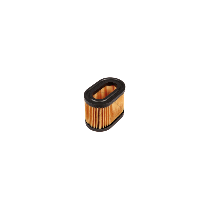 Filtre à air Tecumseh Centura 5.5 R140361
