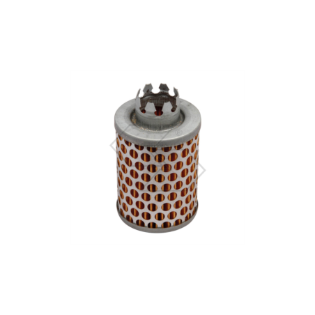 TECUMSEH H30-TC200 LUFTFILTER R140496 | NewgardenParts.com