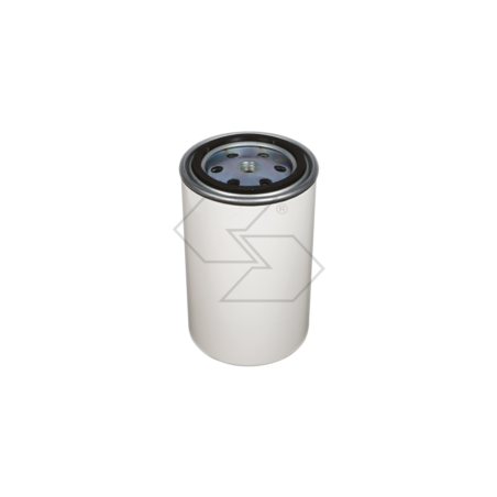 AGCO Kraftstofffilter 525517D1 A03779 | NewgardenParts.com