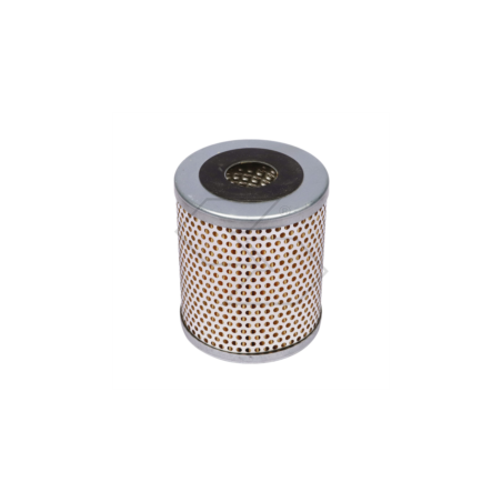 DIESELFILTER FÜR FIAT-LANDINI A03624 | NewgardenParts.com