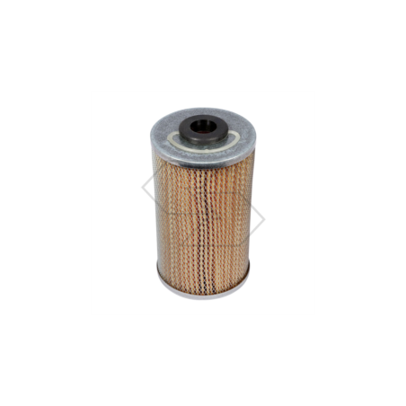 DIESELFILTER FÜR LANDINI A03632 | NewgardenParts.com