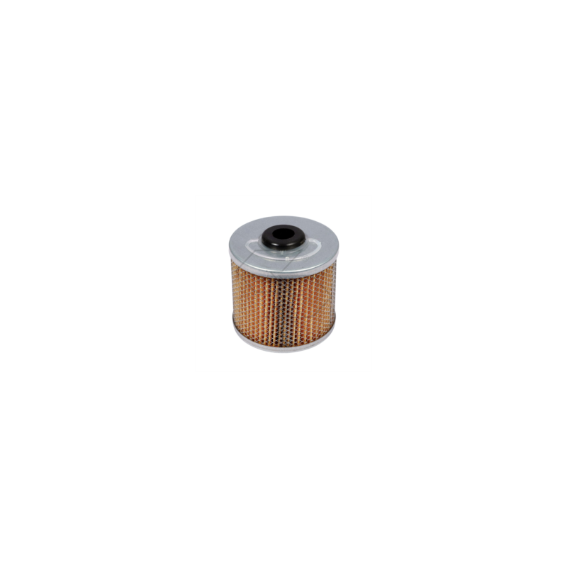 DIESELFILTER FÜR LANDINI-SAME A03631