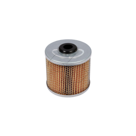 DIESELFILTER FÜR LANDINI-SAME A03631 | NewgardenParts.com