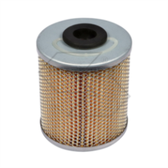 KRAFTSTOFFFILTER FÜR LOMBARDINI-SLANZI A03852 | NewgardenParts.com
