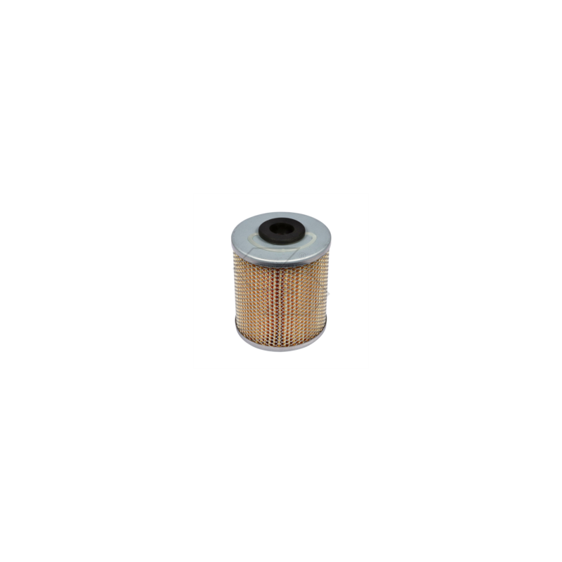 FILTRO GASOLIO X LOMBARDINI-SLANZI A03852