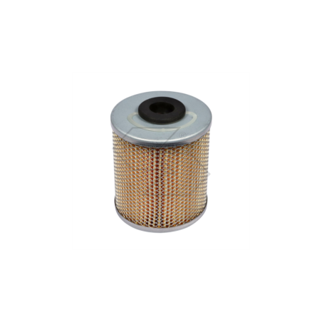 KRAFTSTOFFFILTER FÜR LOMBARDINI-SLANZI A03852 | NewgardenParts.com