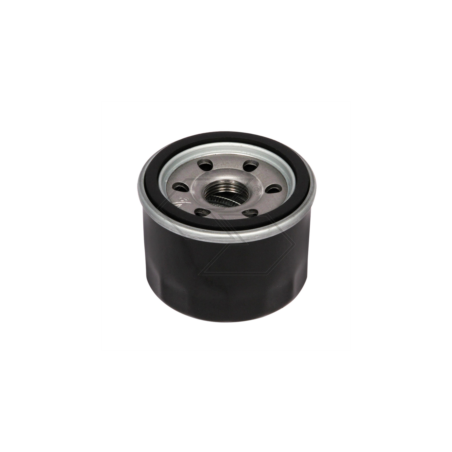 MTD 4P90HU-4P90JHA Ölfilter R141148 | NewgardenParts.com