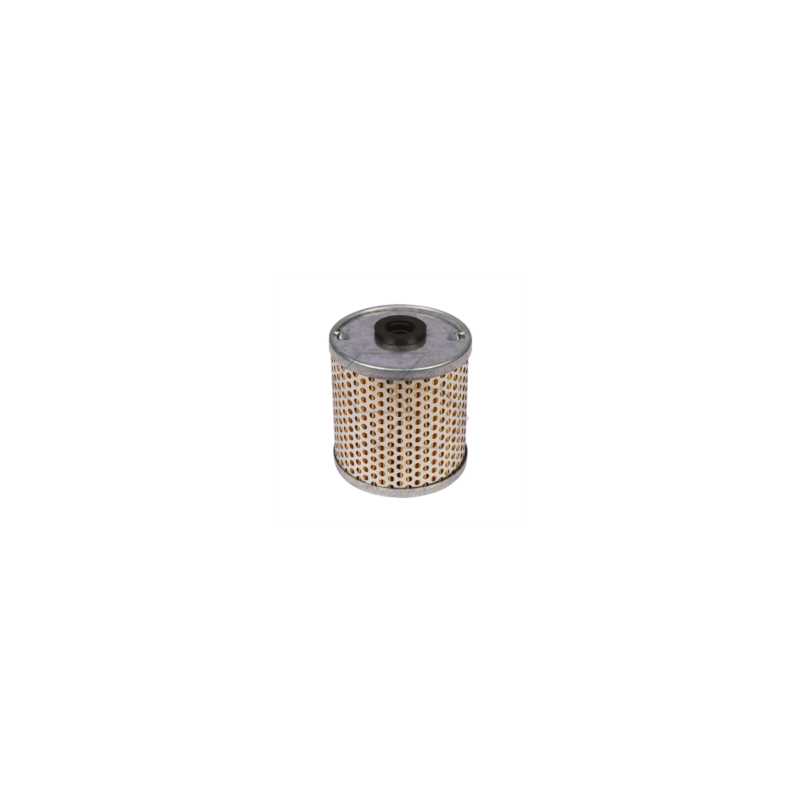 FILTRO OLIO PER GOLDONI A03663