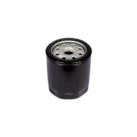 ÖLFILTER FÜR LOMBARDINI H.90 A03745 | NewgardenParts.com