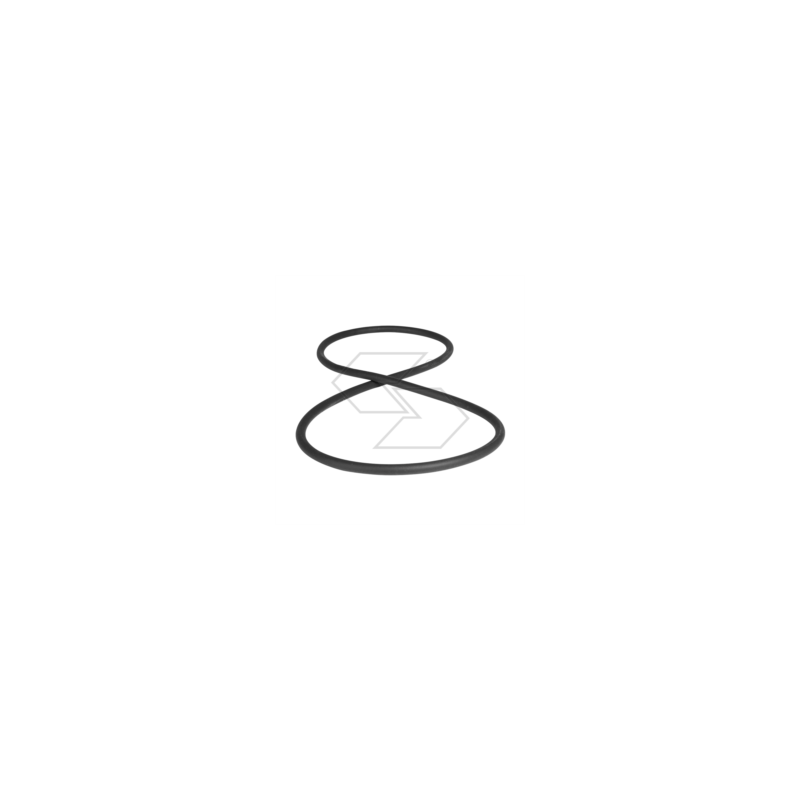 Äußere Dichtungen für Ringe 190 AG00000011