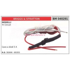 Cavi a diodi 2-4 A BRIGGS&STRATTON per modello Tri Circuit 040291 | NewgardenParts.com