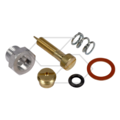 B&amp-S 299060 R125300 Vergaser-Reparatursatz | NewgardenParts.com