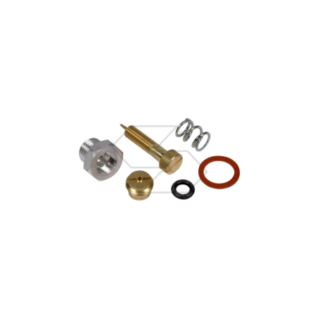 KIT CARBURAZIONE B&S 299060 R125300 | NewgardenParts.com