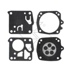 KIT DE MEMBRANE TILLOTSON DG-3HS/T R121303 | NewgardenParts.com
