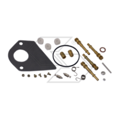 B&amp-S 286700 R125196 CARBURETOR REPAIR KIT | NewgardenParts.com