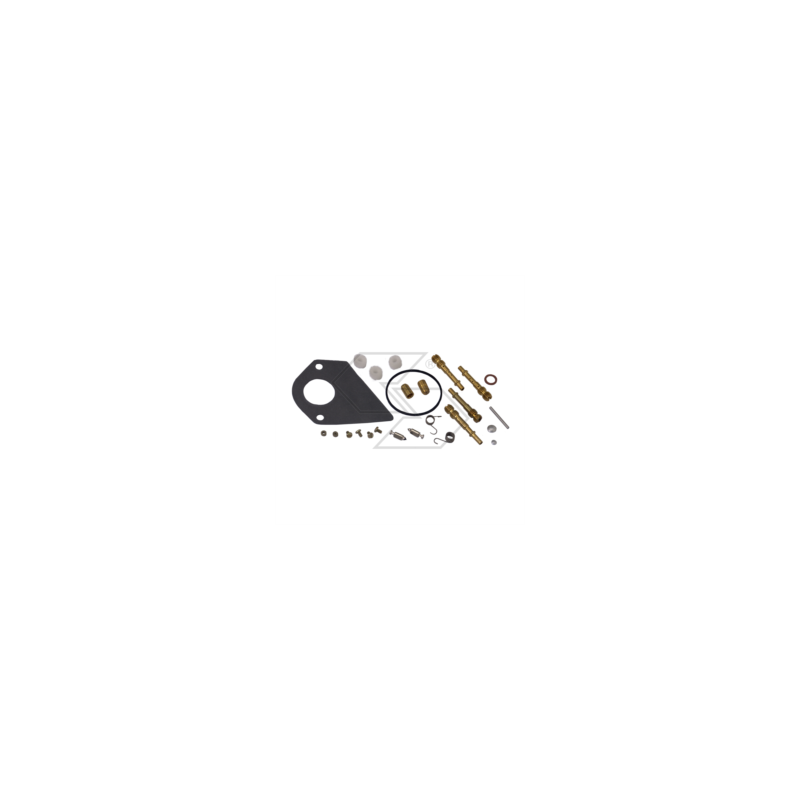 B&amp-S 286700 R125196 Vergaser-Reparatursatz