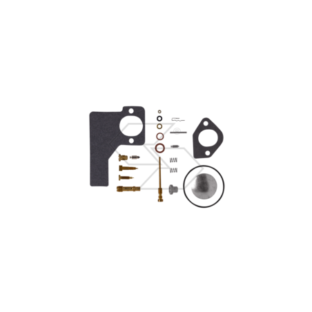 KIT RIPARAZIONE CARB. B&S 394698 R125117 | NewgardenParts.com