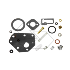 KIT RIPARAZIONE CARB. B&S 494622 R125188 | NewgardenParts.com