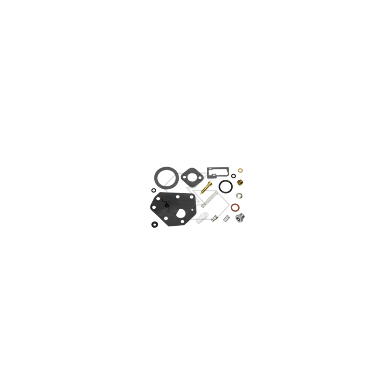KIT RIPARAZIONE CARB. B&S 494622 R125188