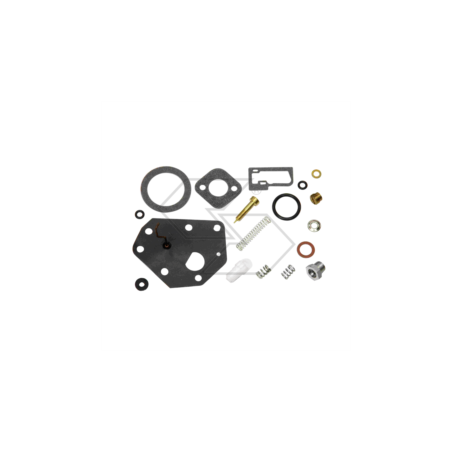 KIT RIPARAZIONE CARB. B&S 494622 R125188 | NewgardenParts.com