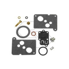 KIT RIPARAZIONE CARB. B&S 494625 R125187 | NewgardenParts.com