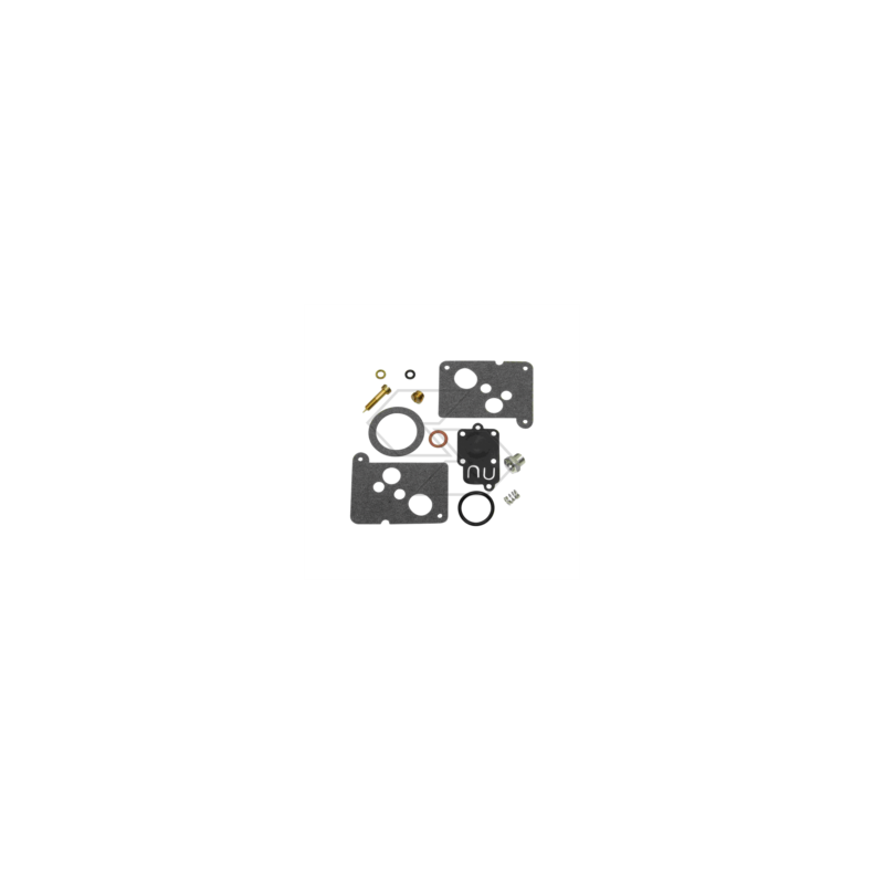 KIT RIPARAZIONE CARB. B&S 494625 R125187