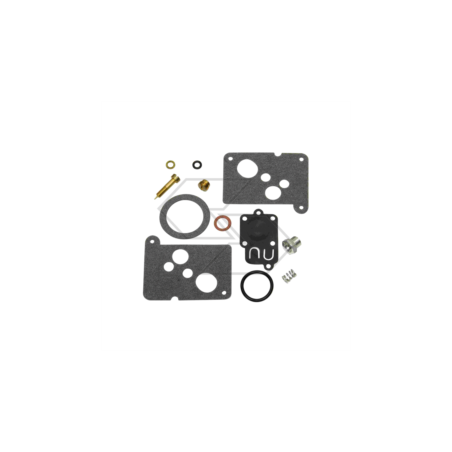 KIT RIPARAZIONE CARB. B&S 494625 R125187 | NewgardenParts.com