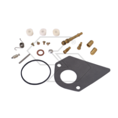 Kohlenstoffreparaturset B&amp-S 497481 R125202 | NewgardenParts.com