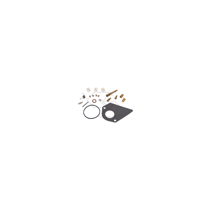 KIT RIPARAZIONE CARB. B&S 497481 R125202