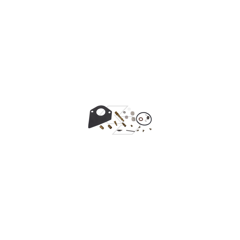 KIT DE RÉPARATION CARBONE B&amp-S 498116 R125203