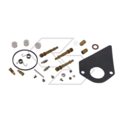CARBON REPAIR KIT B&amp-S LMT92-96 R125199 | NewgardenParts.com