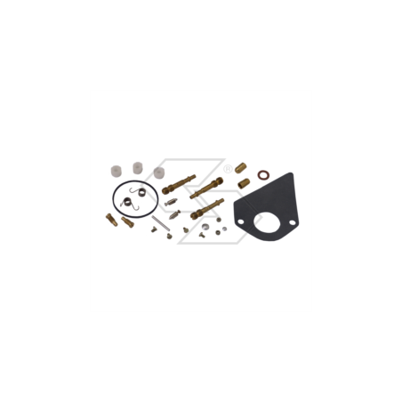 Carbon-Reparaturset B&amp-S LMT92-96 R125199 | NewgardenParts.com