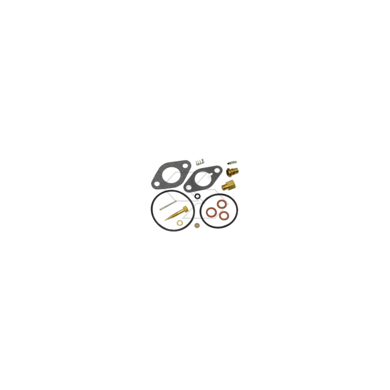 CARBON REPAIR KIT TECUM.39910 R125212