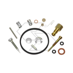 KIT DE RÉPARATION CARBONE TECUM.631029 R125211 | NewgardenParts.com